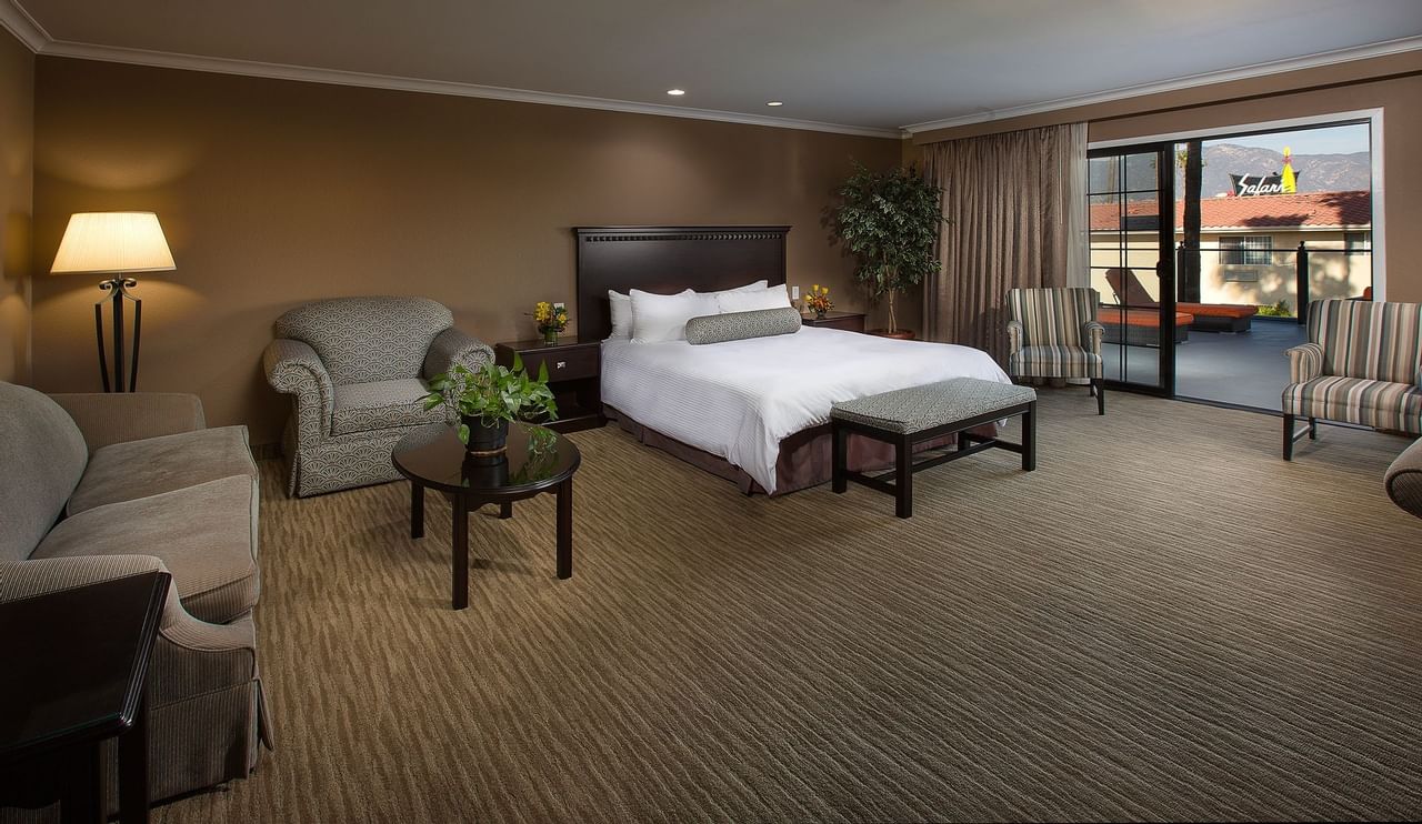 Deluxe Studio Suite