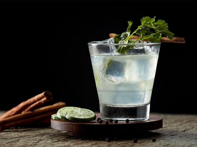 Gin and tonic garnished with cilantro at Fiesta Inn