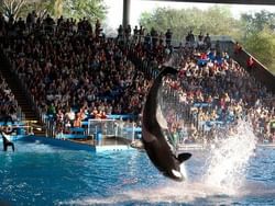 The Crowded Sea World San Antonio near Riverwalk Plaza Hotel