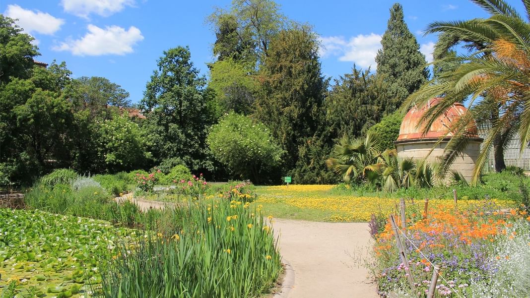 Chemin de jardin bordé de fleurs colorées et d'arbres luxuriants près des Hôtels Oceania