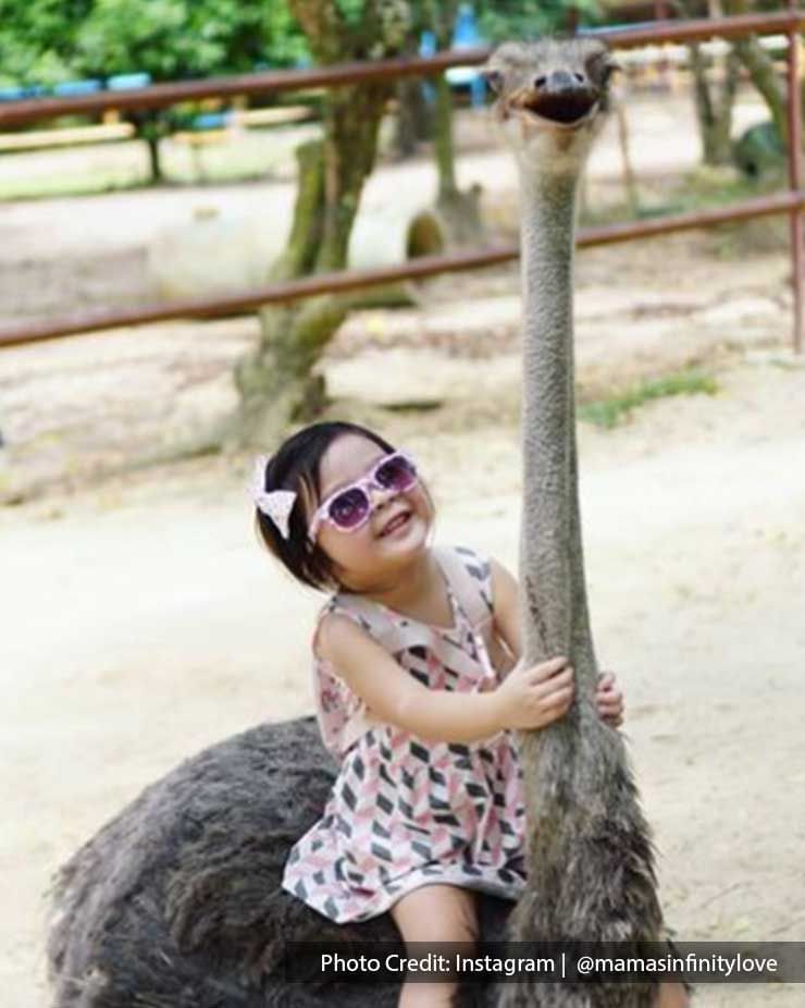 Little Girl In PD Ostrich Farm