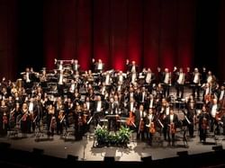 Philharmonic Orchestra musicians, Rosen Inn Lake Buena Vista