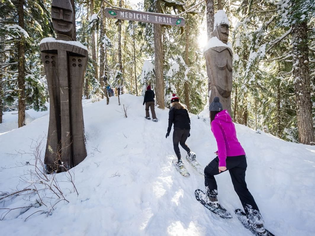 Snowshoers on Medicine Trail
