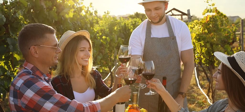 friends holding wine glasses and having fun in a vineyard