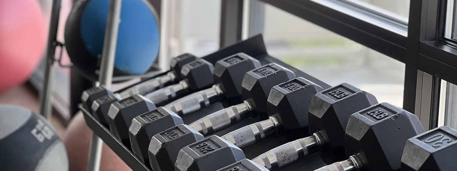 Hex dumbbells on a rack by a glass window near medicine balls at Warwick Denver