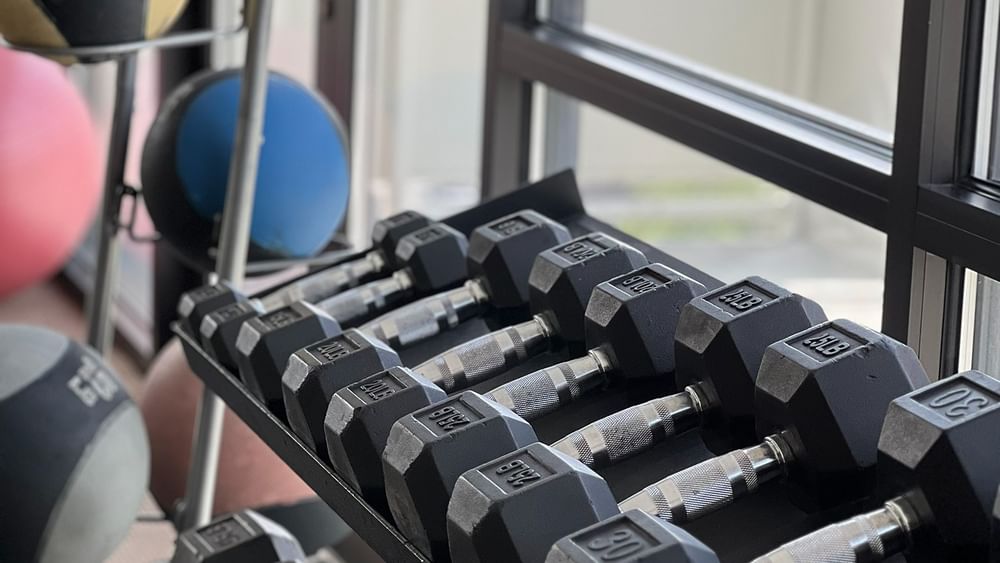 Hex dumbbells on a rack by a glass window near medicine balls at Warwick Denver
