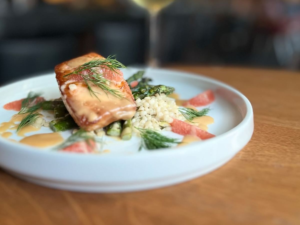 Salmon