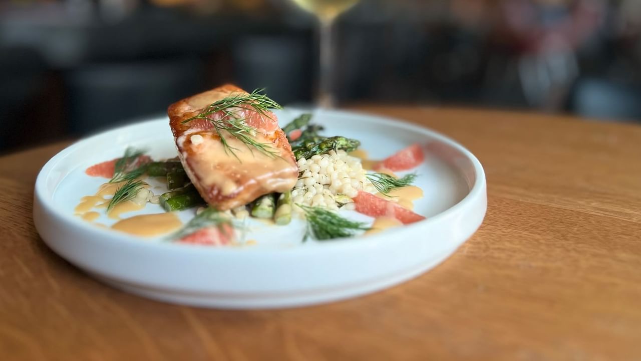 Salmon