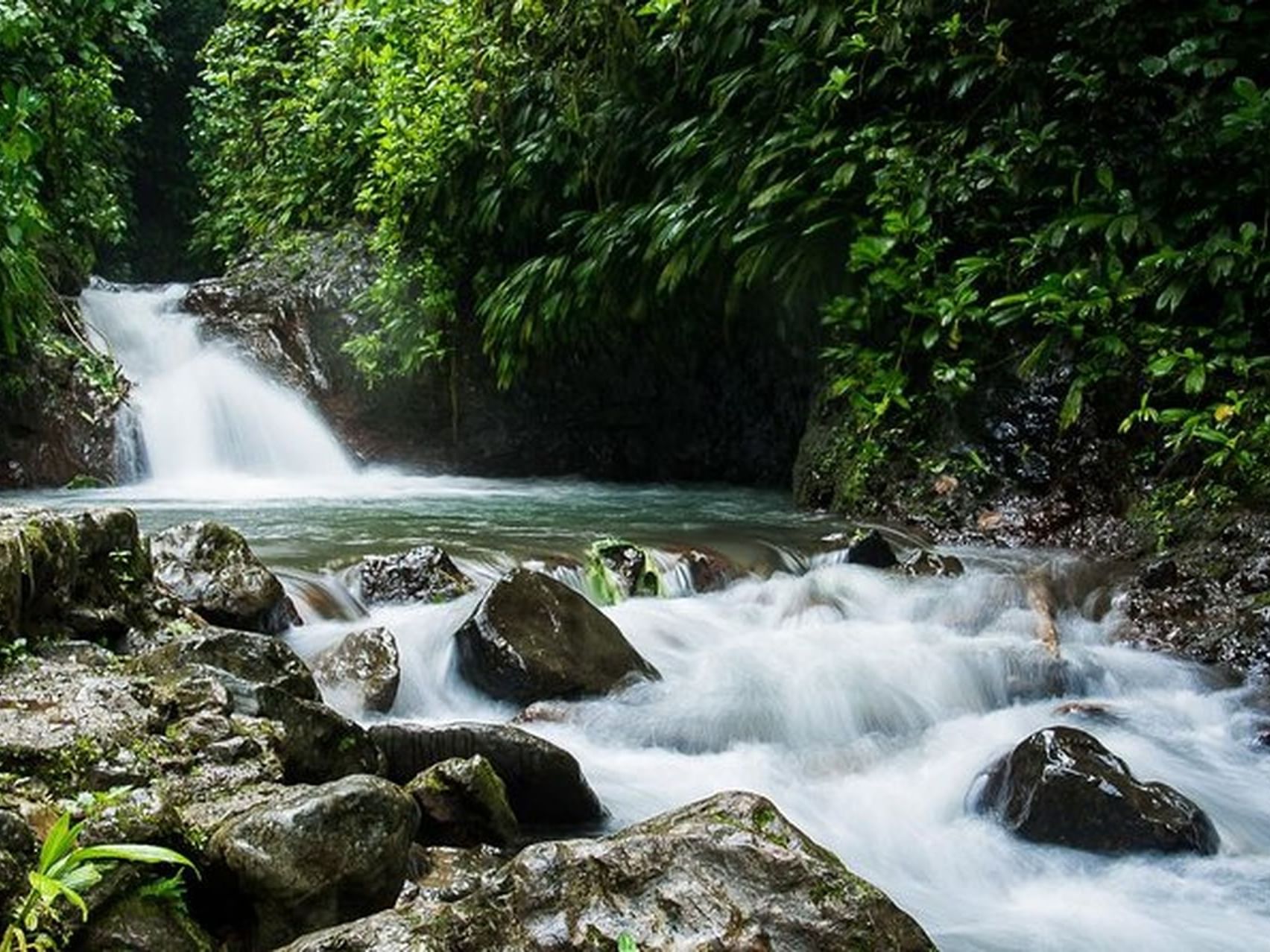 Cascada en la jungla en el Parque Rainmaker cerca de Los Altos Resort