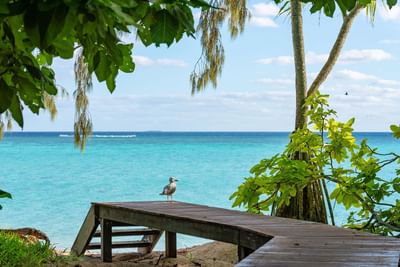 Deck from the Beach House to the sea at Heron Island Resort