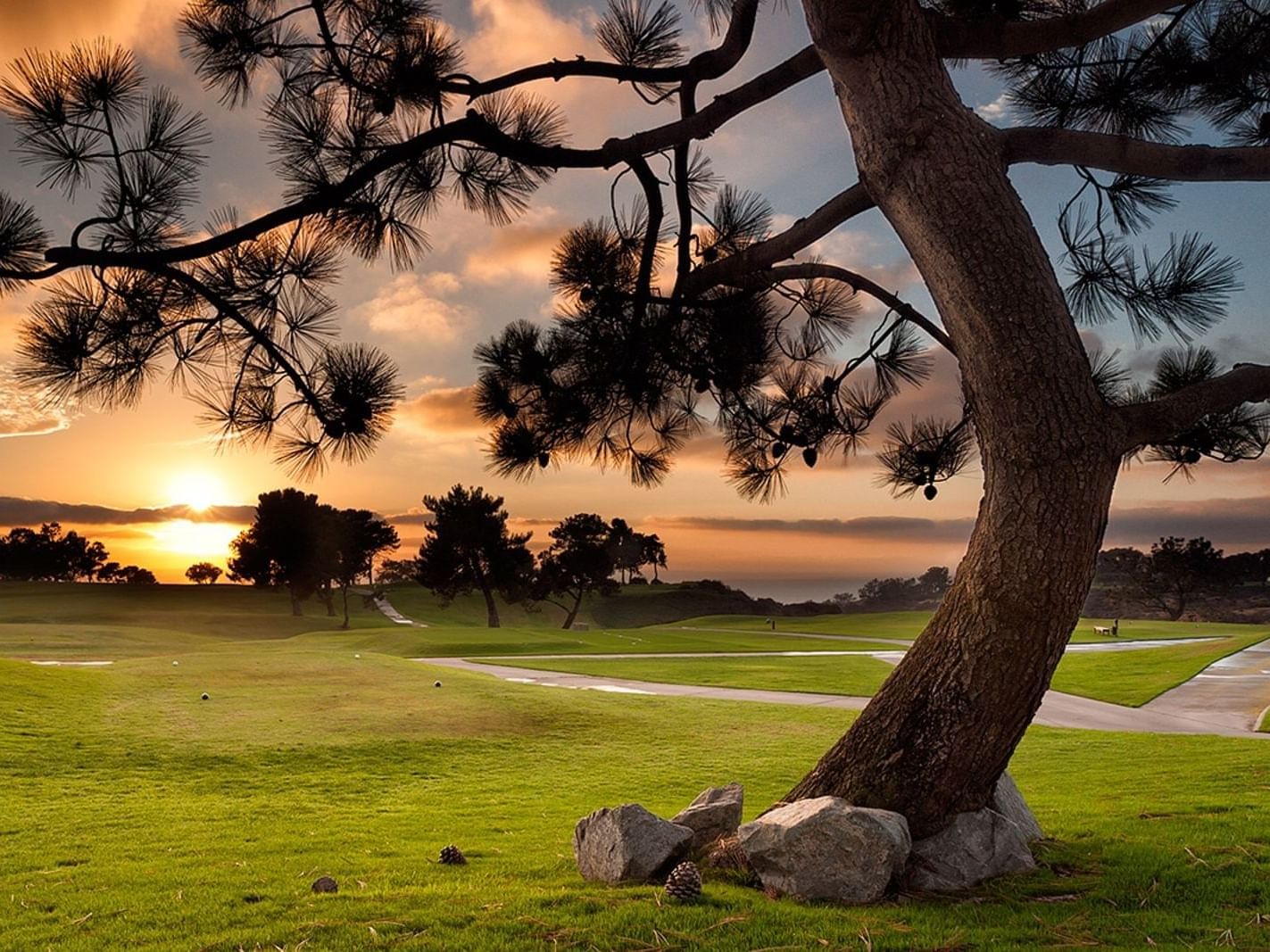 The Torrey Pines Golf Course near Inn by the Sea at La Jolla