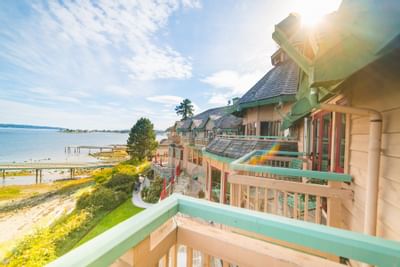 view from patio