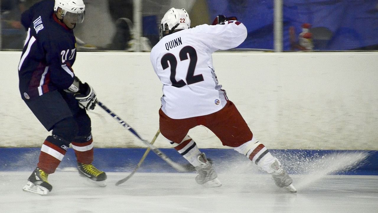 Two hockey players during game