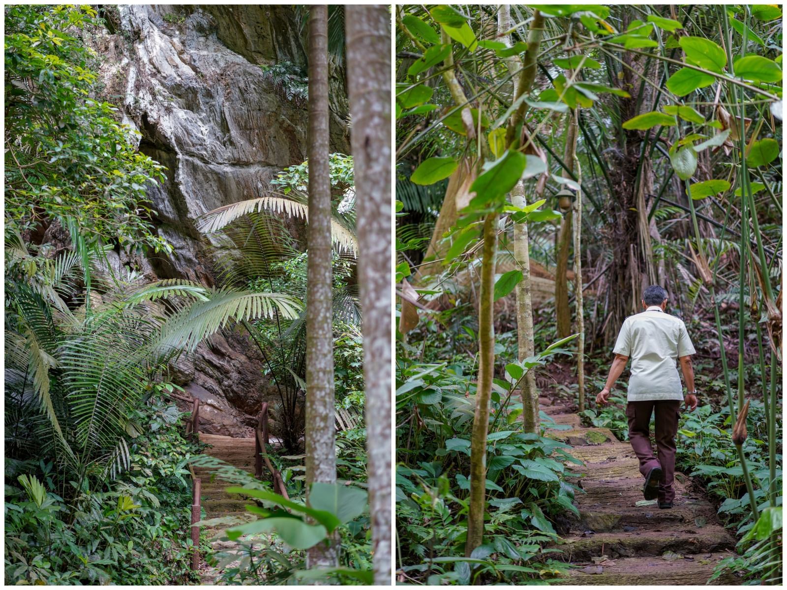 Staff member on a trail in the Jungle Walk at The Banjaran Hotsprings Retreat