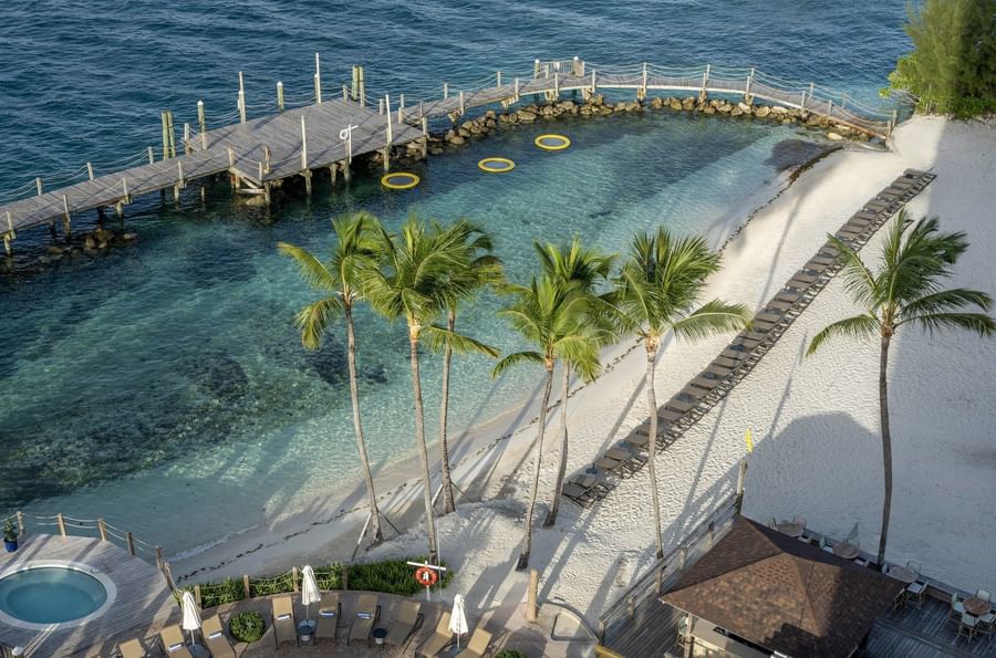 Palm trees by a white beach under the sun surrounding a wooden pier at Warwick Paradise Island Bahamas