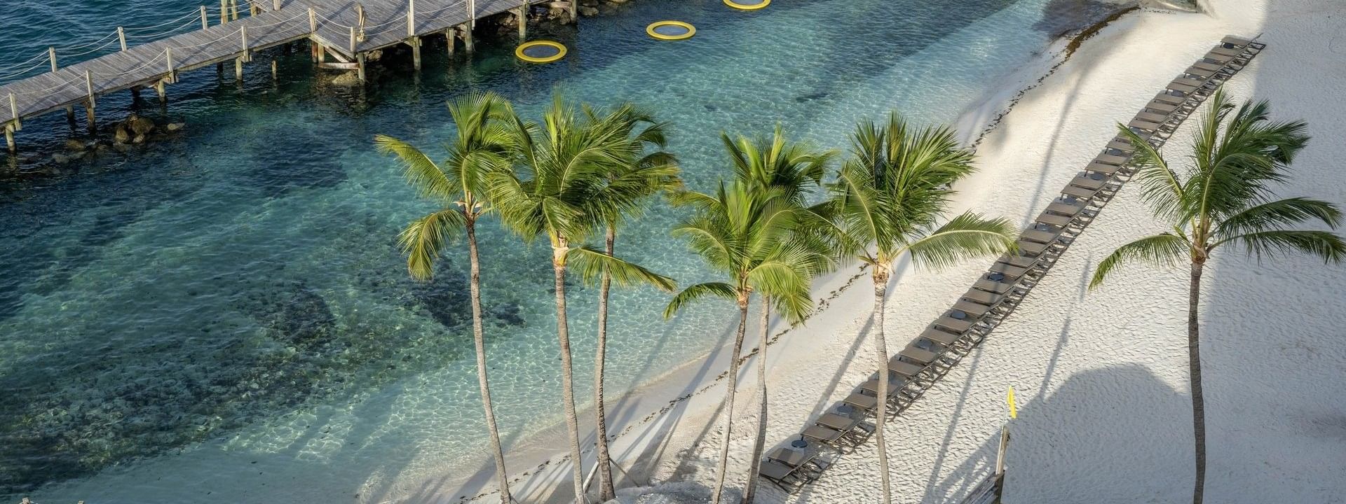 Palm trees by a white beach under the sun surrounding a wooden pier at Warwick Paradise Island Bahamas