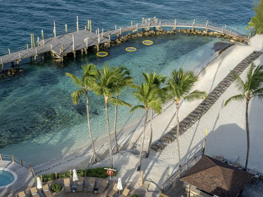 Palm trees by a white beach under the sun surrounding a wooden pier at Warwick Paradise Island Bahamas
