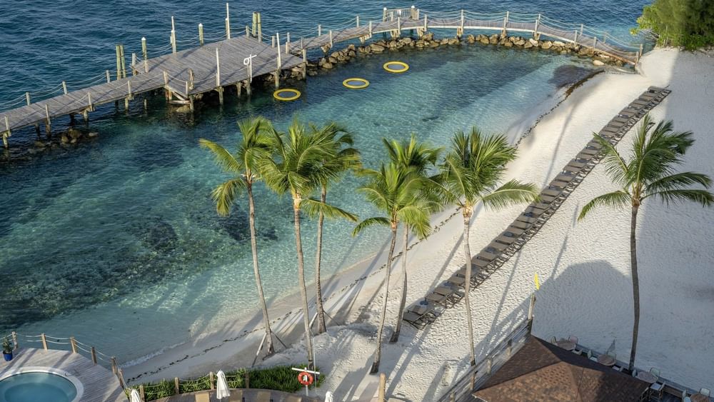 Palm trees by a white beach under the sun surrounding a wooden pier at Warwick Paradise Island Bahamas