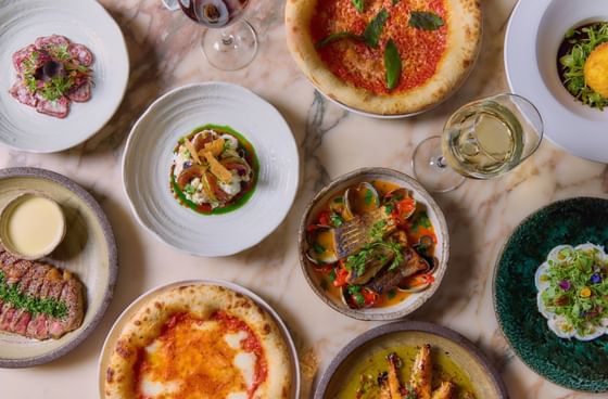 Overhead view of various gourmet dishes including pizzas, fish, and salads arranged at May Fair Kitchen