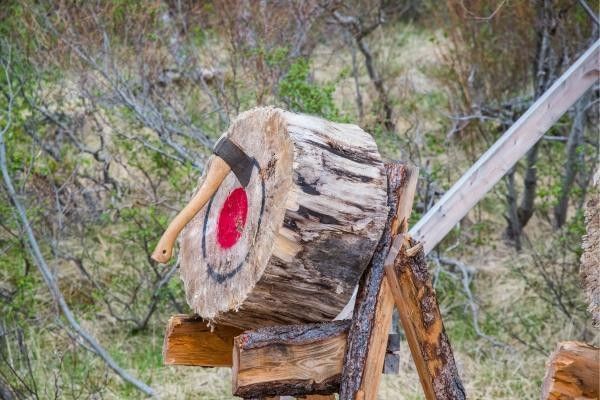 Axe throwing activity at Go Ape Bracknell, showing an axe embedded in a wooden target, with concentric scoring rings on the board and a rustic outdoor adventure setting in the background.