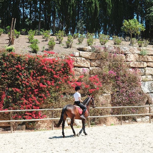 A lady riding a horse at  Marbella Club Hotel