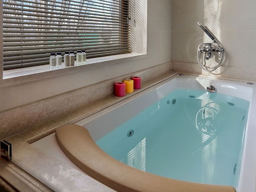 The Indus Valley Suite