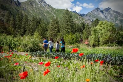A family walking in the organic garden at Sleeping Lady