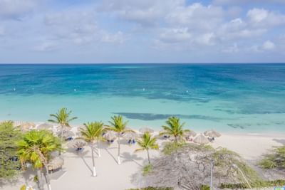 Caribbean Beach