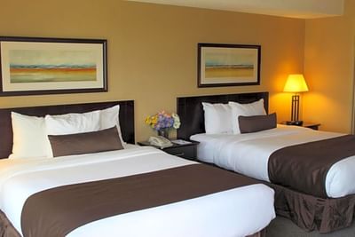 Flower pot & lamp by the beds in Studio Two Queen Beds at Franklin Suite Hotel Fort Mcmurray