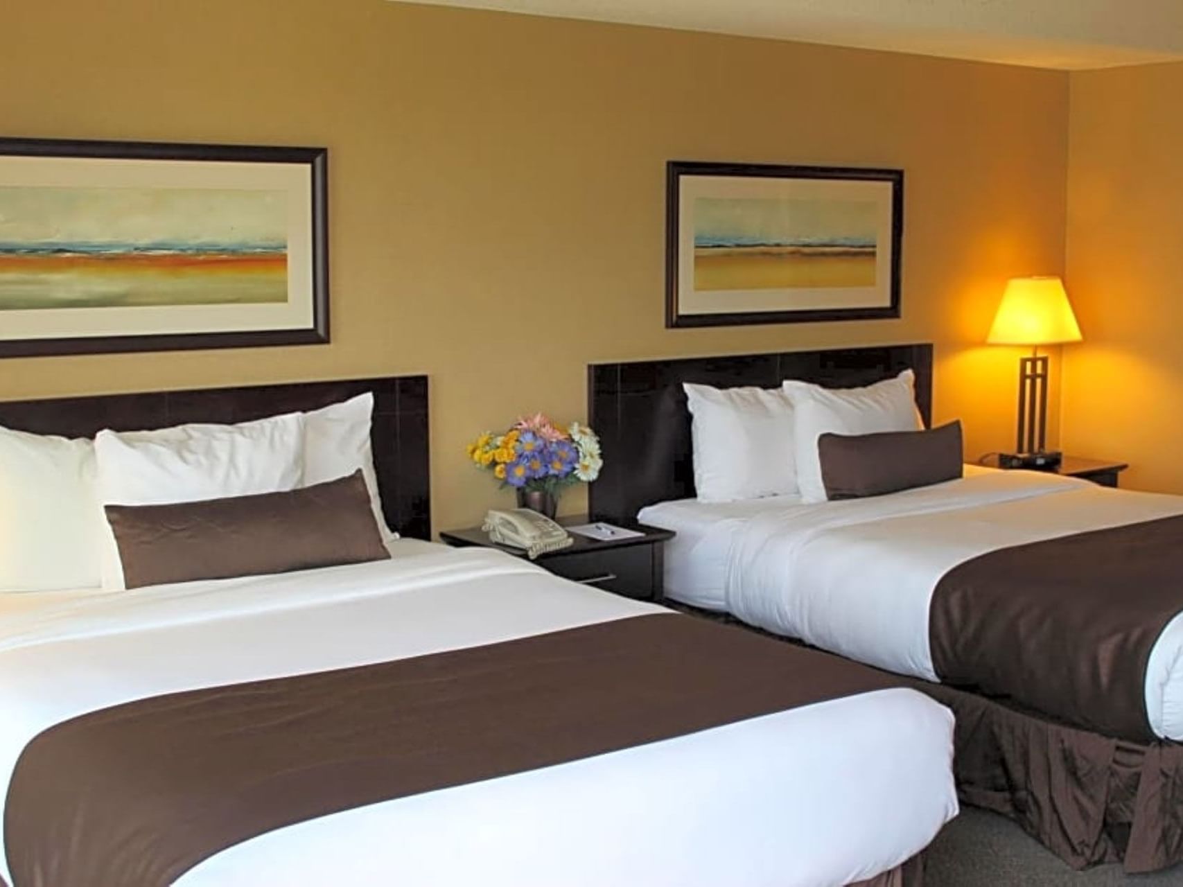 Flower pot & lamp by the beds in Studio Two Queen Beds at Franklin Suite Hotel Fort Mcmurray