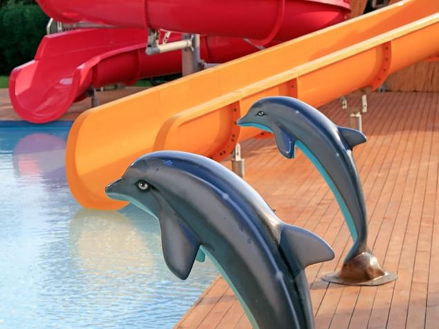 Dolphin statues near the waterslide at Design Plus Seya Beach Hotel