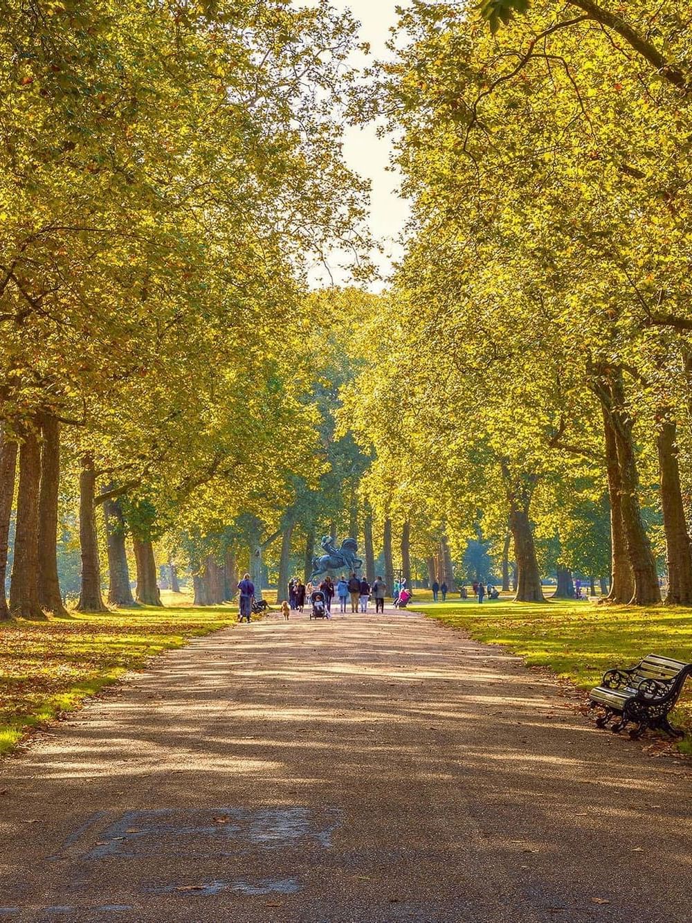 Tree-lined path by a park bench under a leafy canopy with a distant statue at The Capital Hotel, Apartments and Townhouse