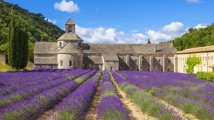 Lavender fields in Senanque Abbey near Originals Hotels