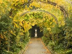 the secret garden archway
