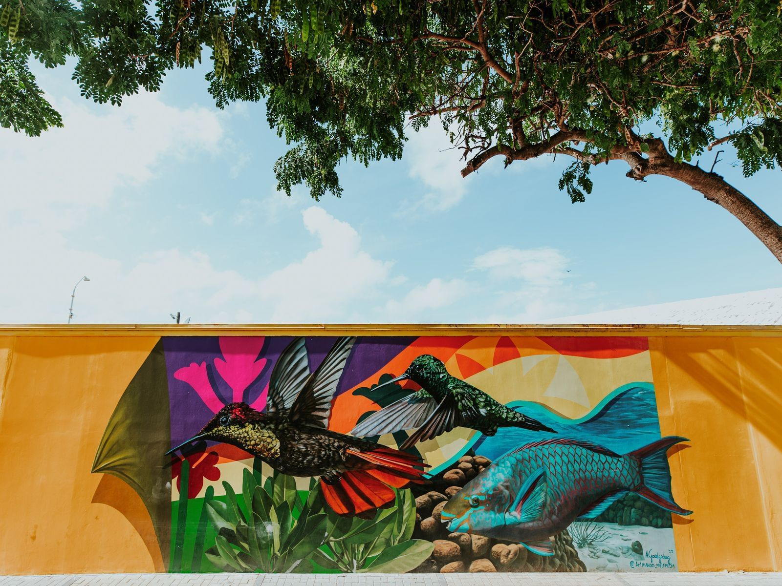 Aruba wall murals to take pictures near Passions on the Beach