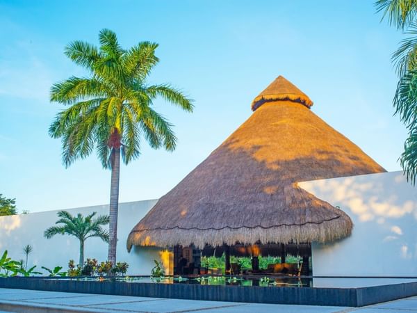 Exterior of hotel with palm trees and man made pond