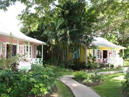 Tropical garden with a winding path at The Chattel Village near All Seasons Resort Europa