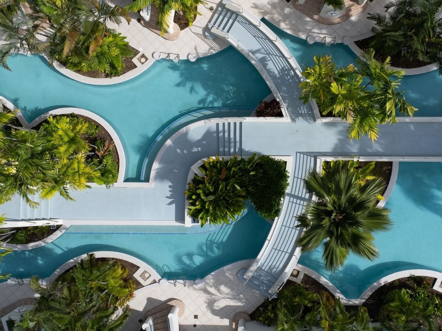 Aerial view of a large swimming pool with palm trees and a winding path.
