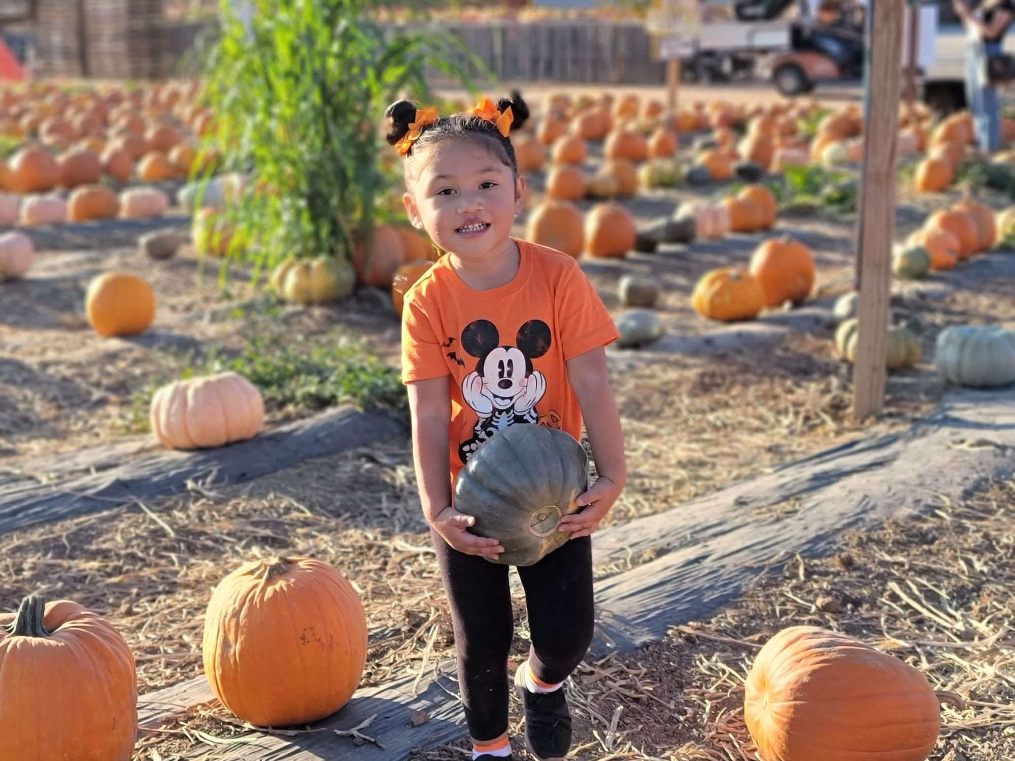 THINGS TO DO IN ORANGE COUNTY THIS FALL Grand Legacy At The Park THINGS TO DO IN ORANGE COUNTY THIS FALL Grand Legacy At The Park