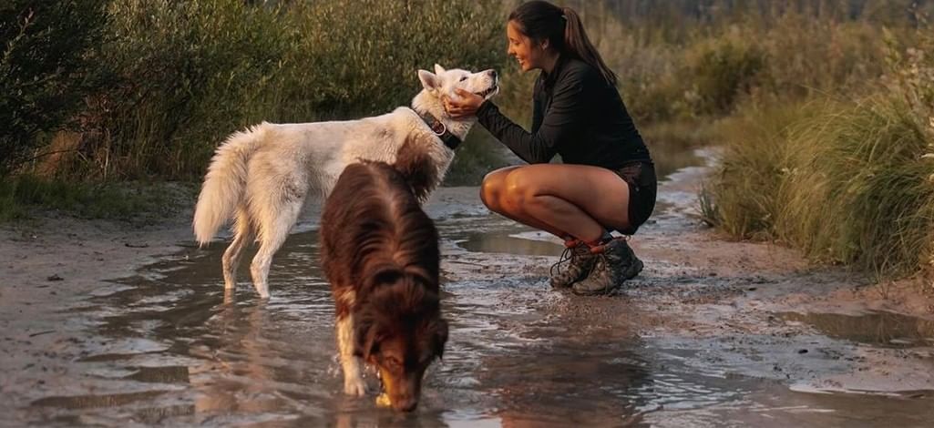 Woman outdoors smiling and petting a dog while another dog drinks from a puddle.