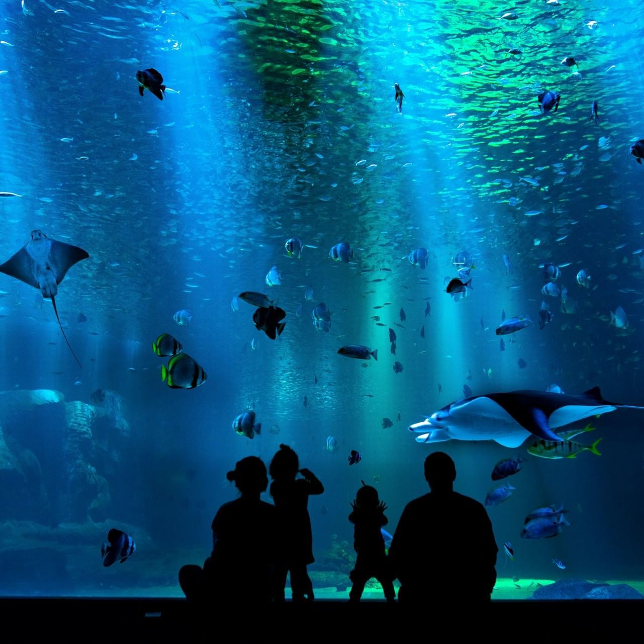 Sharjah Aquarium