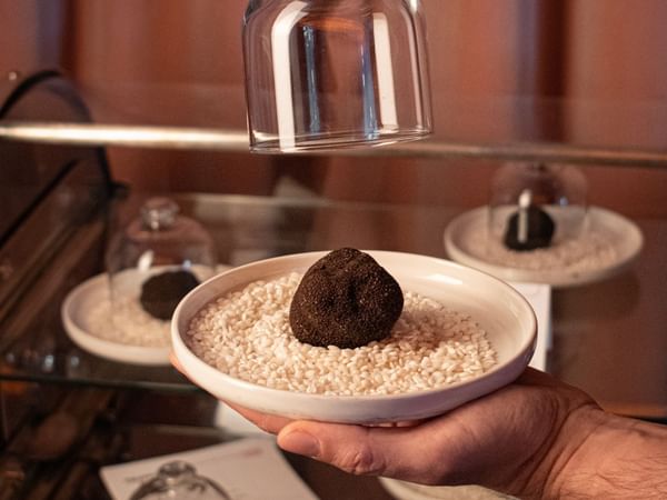 Truffle on white plate in Firma