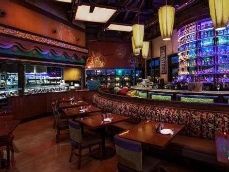 Paradiso 37 at Disney Springs