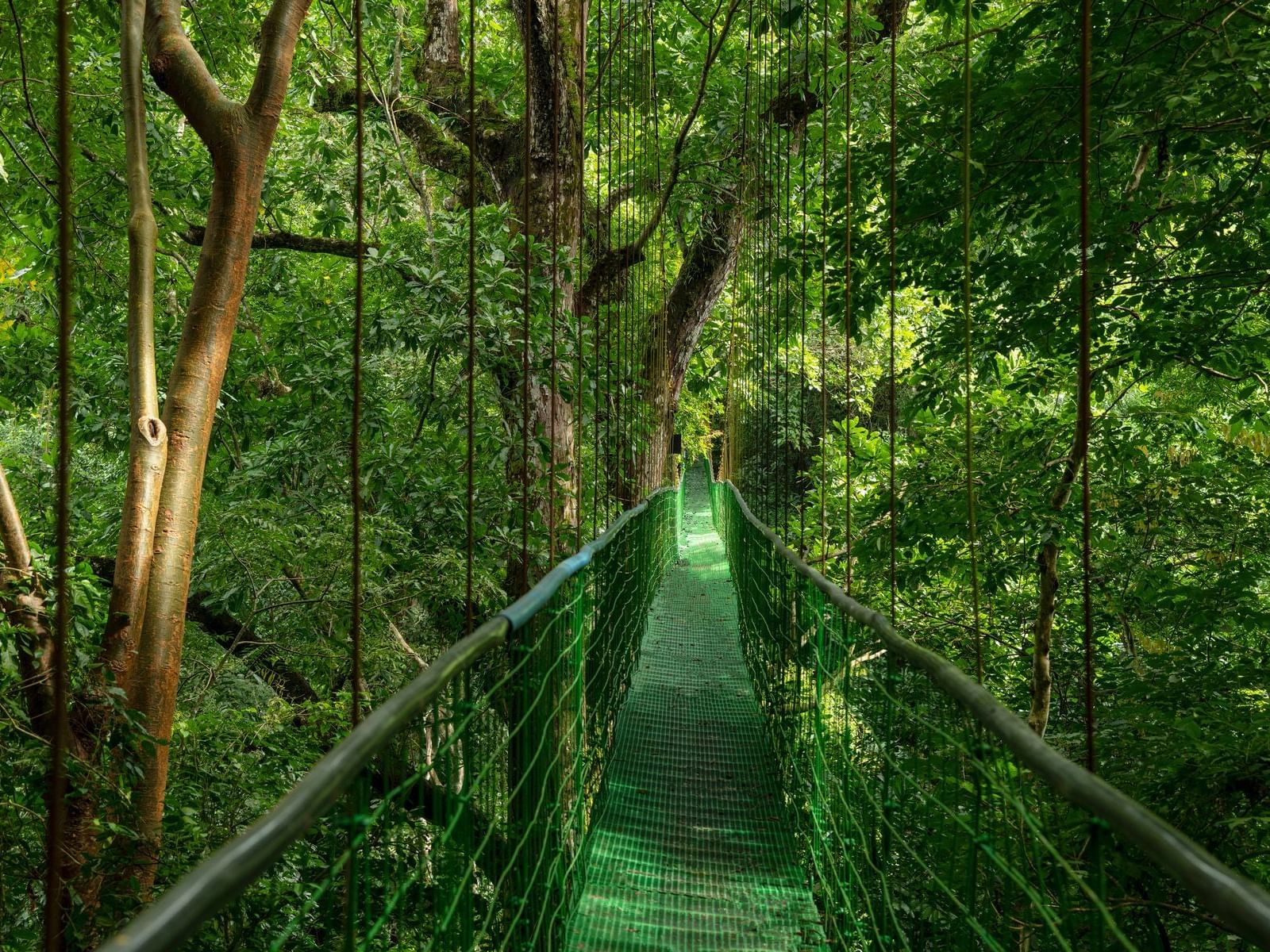 The Sky Way Tour - Hotel Villa Lapas