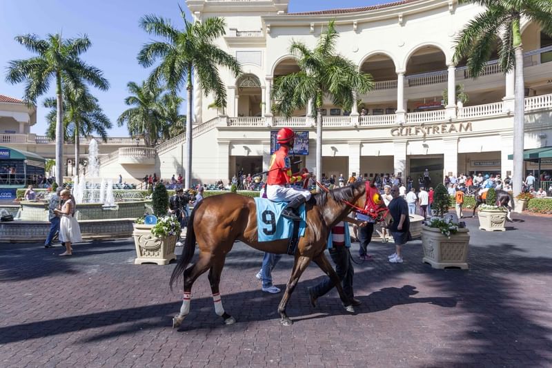 Horse race at Gulfstream Park near The Diplomat Resort, with spectators and palm trees