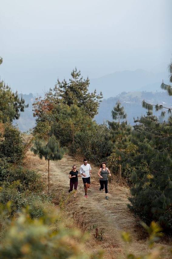 People jogging on a trail through the forest with a mountain backdrop near The Terraces Resort & Spa