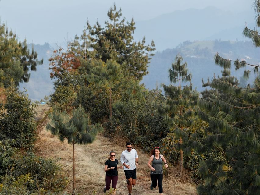 Group of people jogging on a forest trail with trees and hills backdrop near The Terraces Resort & Spa