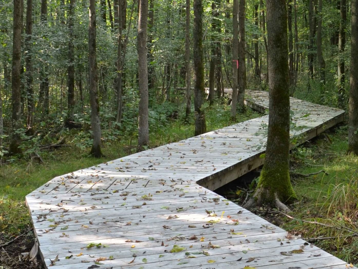 Nature Action Québec