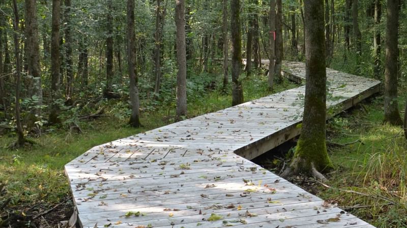 Nature Action Québec