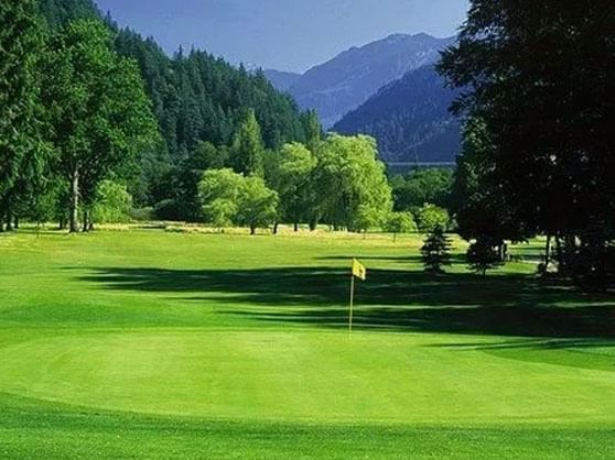 A scenic green golf course nestled among lush trees at Harrison Lake Hotel